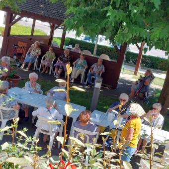 13 juillet : pêches Melba à l'ombre !